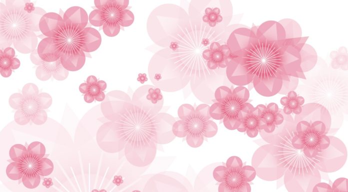 Pink Backgrounds