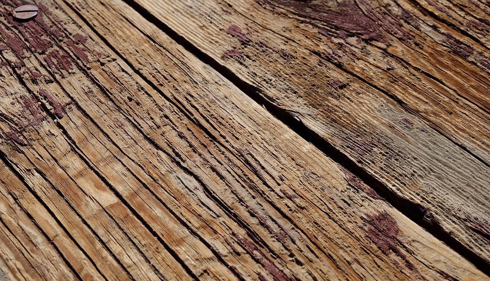 Wood Pictures - Wood Stock Images & Photos - WEBivm