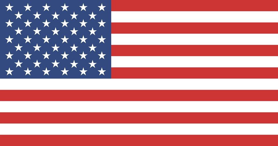 American Flag Vector