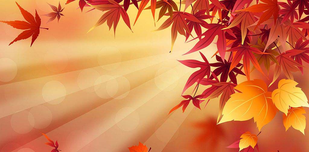 Fall Background Images
