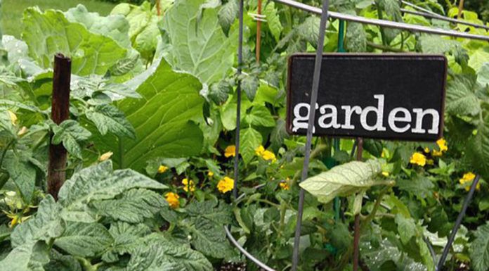 Garden Signs