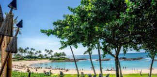 Hawaii Background