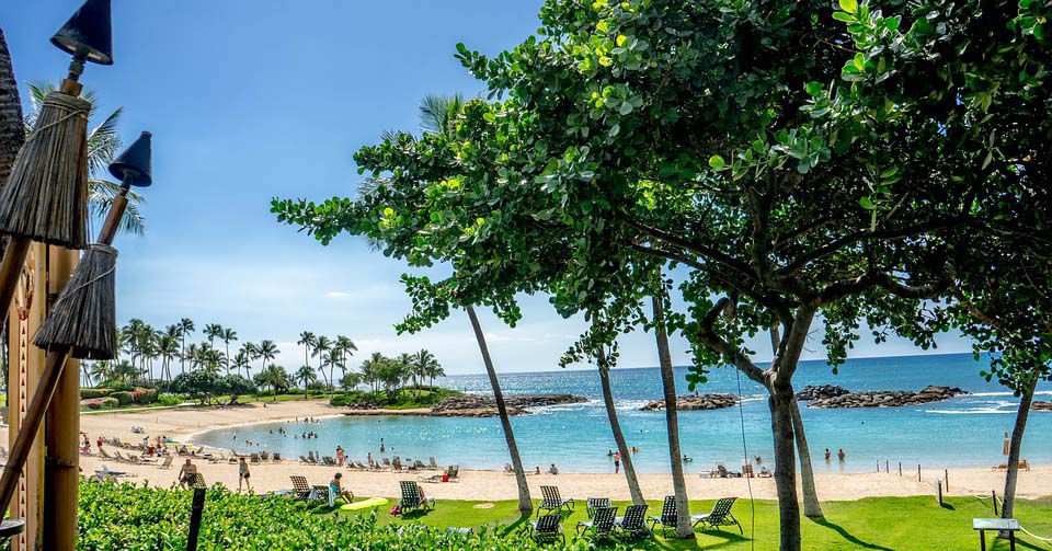 Hawaii Background