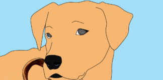 Sad Cartoon Dog