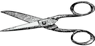 Scissors Vector