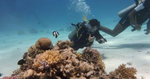 Underwater Photo Tips