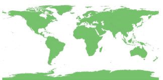 World Map Vectors